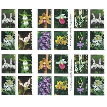 Wild Orchids 2020 - 5 Sheets 100 Pcs Unused Stamps for Mailing